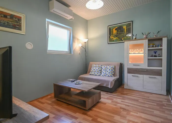 公寓 Zelina 木洛希尼