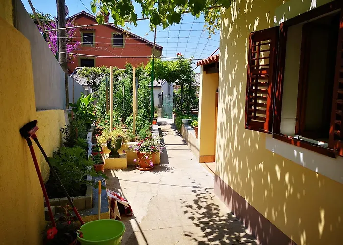 公寓 Zelina 木洛希尼